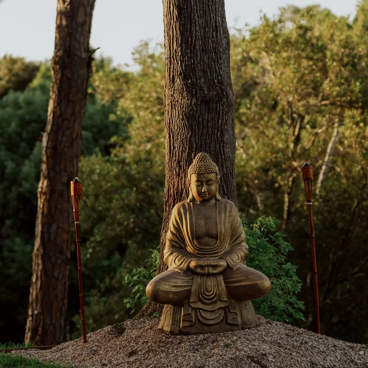The Buddha on the grounds at golden hour.